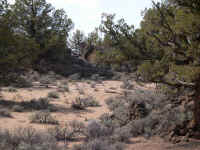 On the trail to Flat Iron