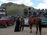 Barrel racing ladies